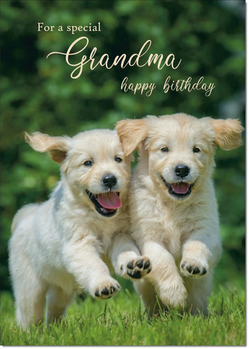 Doodlecards grandma birthday - grandma,