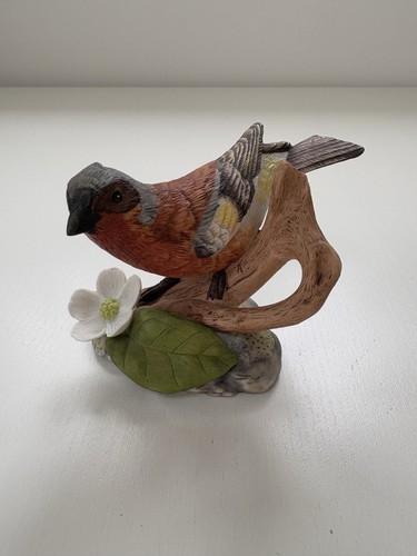 Chaf finch birds blossoms - finch, &