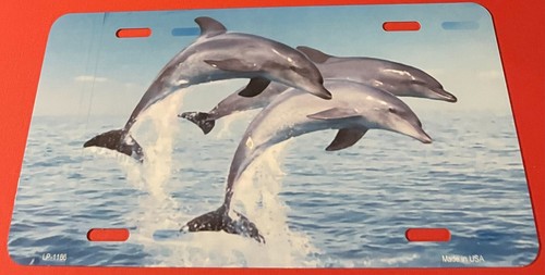 Dolphins novelty license plate - dolphins,