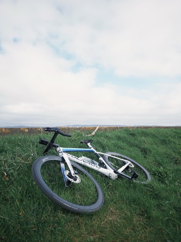 Colnago disc ultegra - disc, 11