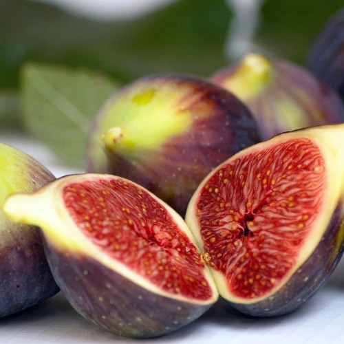 Ficus carica brown - turkey, fig