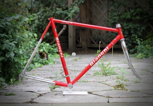 Bianchi campione del mondo - campione,