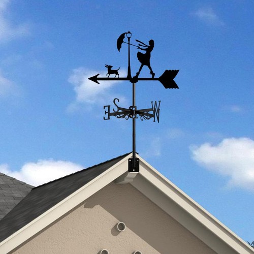 Wind vane metal weathervane - wind,
