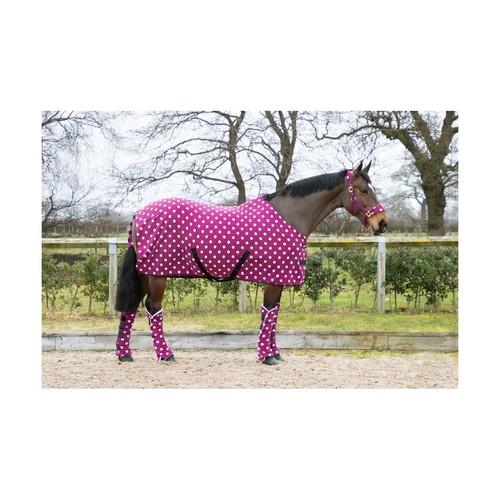 Shetland fleece rug 3 - shetland,
