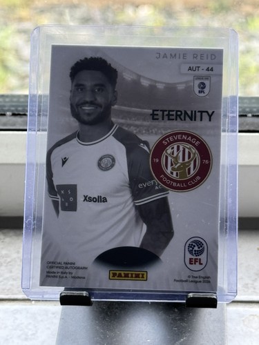 Panini eternity efl jamie reid - eternity,
