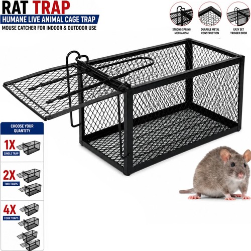 Rat trap mouse catcher - rat,