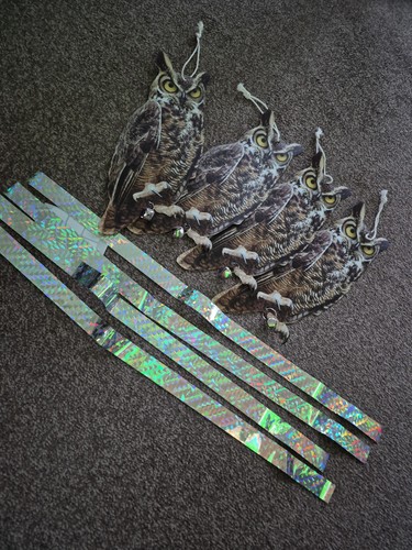 Owl garden bird scarers - bird,
