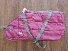 Pink Weatherbeeta Jasper