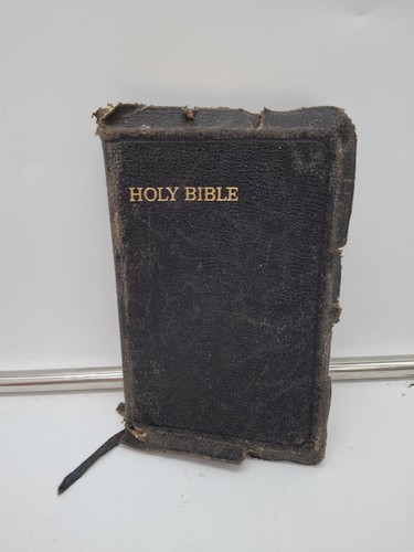 Antique holy bible illustrated - bible,