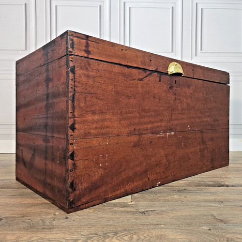 Antique camphor wood chest - antique,