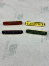 Class Prefect School Bar Pin