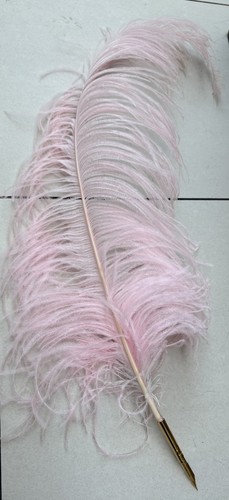 Fanciful decorative large - decorative,