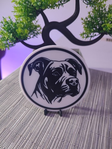 Staffordshire bull terrier - bull,