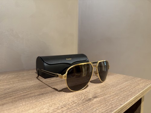 Cartier santos - santos,
