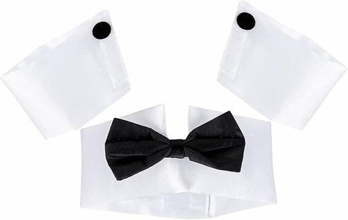 Mens adult male stripper - adult,
