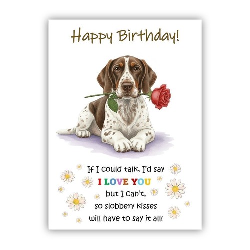 German shorthaired pointer - german,