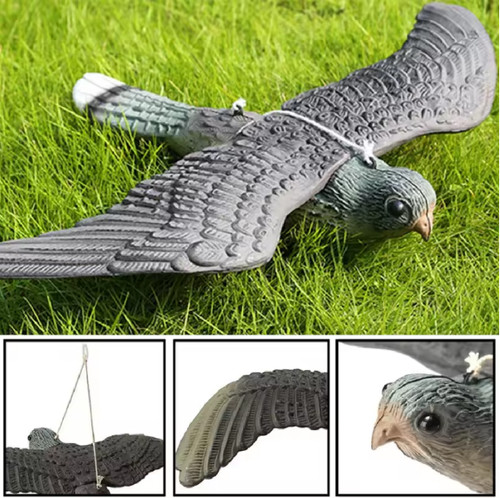 Fake falcon hawk bird - 3d,