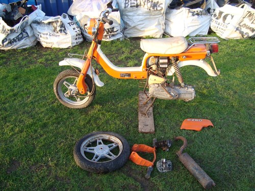 1979 suzuki fz50 suzy - fz50, 50