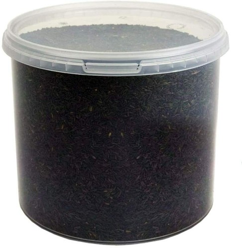 Niger nyger tub seed - in,