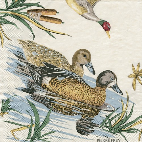 Sologne pierre frey ducks - pierre,