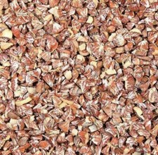 Betel Nut Supari Sopari