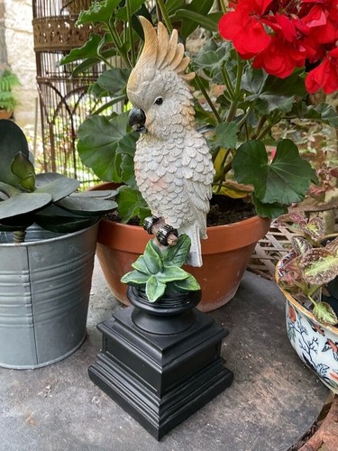 Parakeet decorative - parakeet,