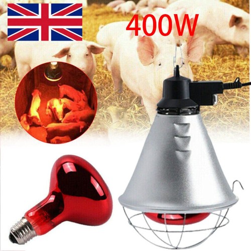 Infrared heat lamp - lamp, poultry