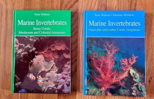 Marine invertebrates stony - invertebrates,