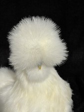 9 + SILKIE HATCHING EGGS.. SILKY, SIZZLE, SHOW GIRL,