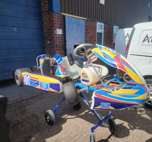 Tonykart fanando alonso rotax - alonso,
