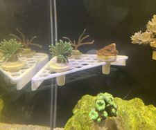 Slim Honeycomb Reef Aquarium Corner Frag Rack (SPS, LPS, ZOA) Marine Supplies UK