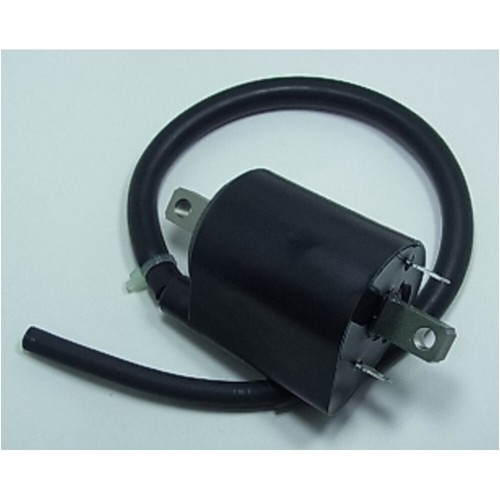 Ignition coil for - ignition,