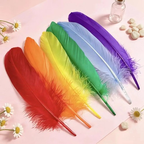 Real goose feathers - goose,