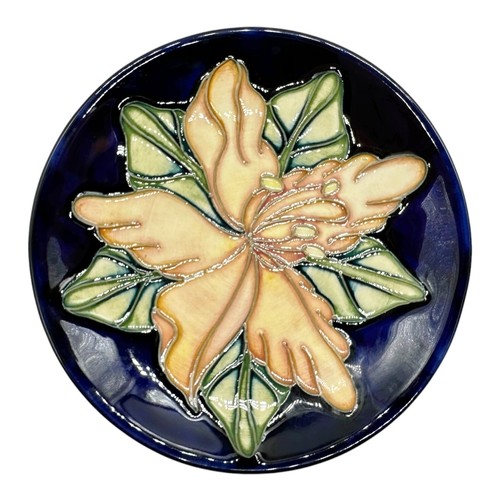Moorcroft sea bindweed - **,