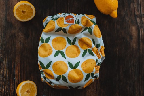 New reusable nappie - x,