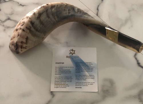 Ram horn home decor 2 - ram, 10