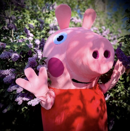 Peppa pig style mascot costume - pig-style,