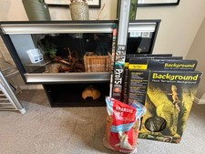Full Bearded Dragon Set Up