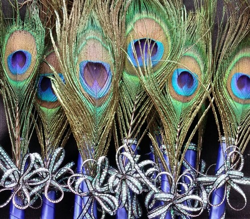 Peacock recuerd feather pen - 12,