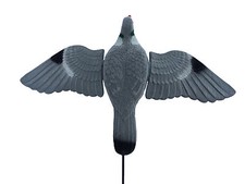 Flocked Flying Pigeon Decoy