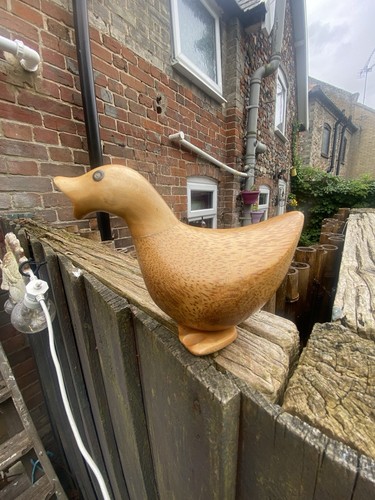 Superb dcuk ducky - superb,