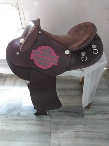 Australian halfbreed stock - australian,