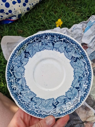 Mason plate blue - mason,
