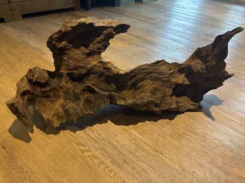 Bog wood large - bog,