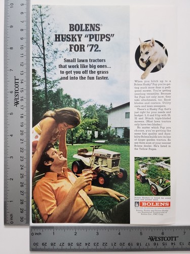 Bolens husky pups lawn - pups,