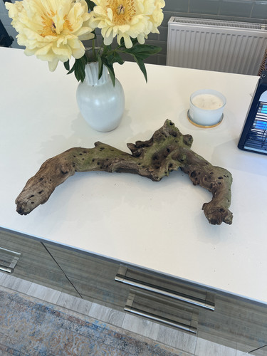 Large aquarium driftwood - large,