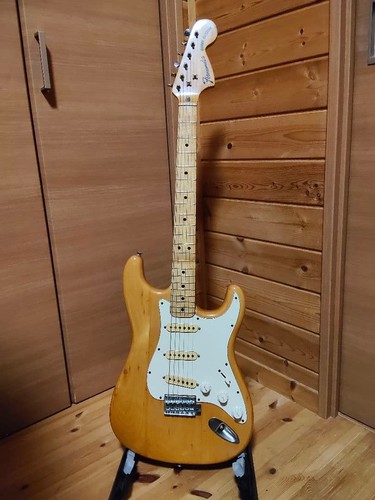 Fernandes burny custom - fernandes,