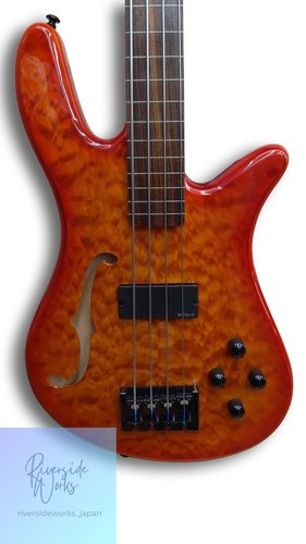 Spector electric bass - electric, core