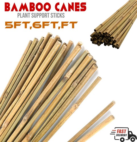 Bamboo canes garden natural - bamboo,