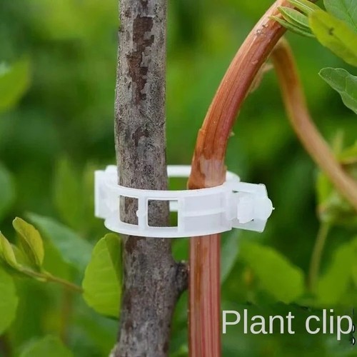 Plant support clips - support,